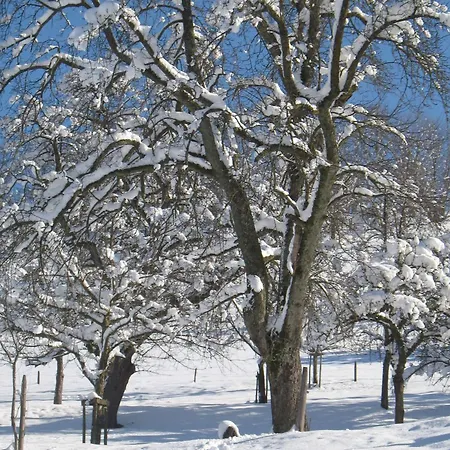 Апартаменты Dischhansenhof *