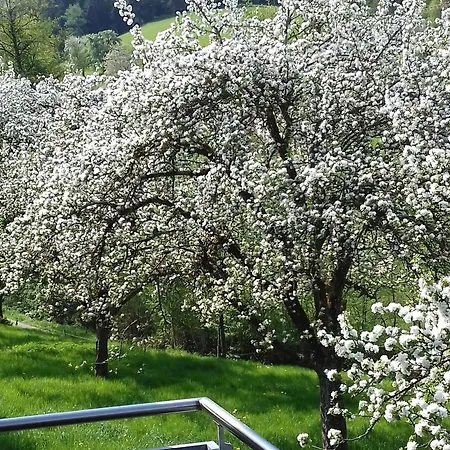 Апартаменты Dischhansenhof *