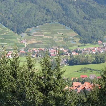 Апартаменты Dischhansenhof Глоттерталь