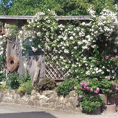 Dischhansenhof Апартаменты