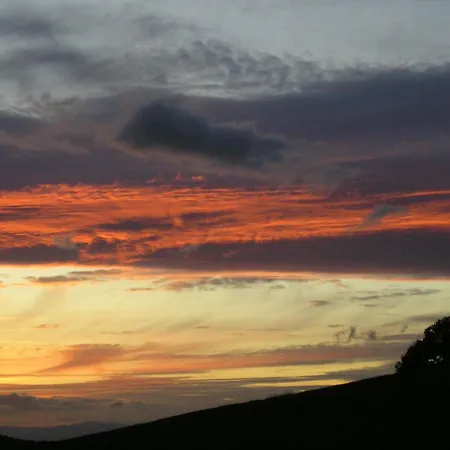 Dischhansenhof Апартаменты *